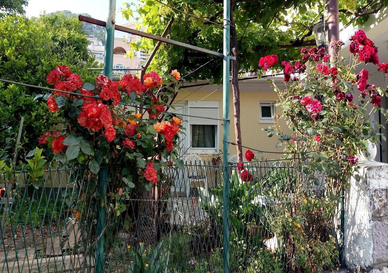 Apartman Lora Budva Exterior photo